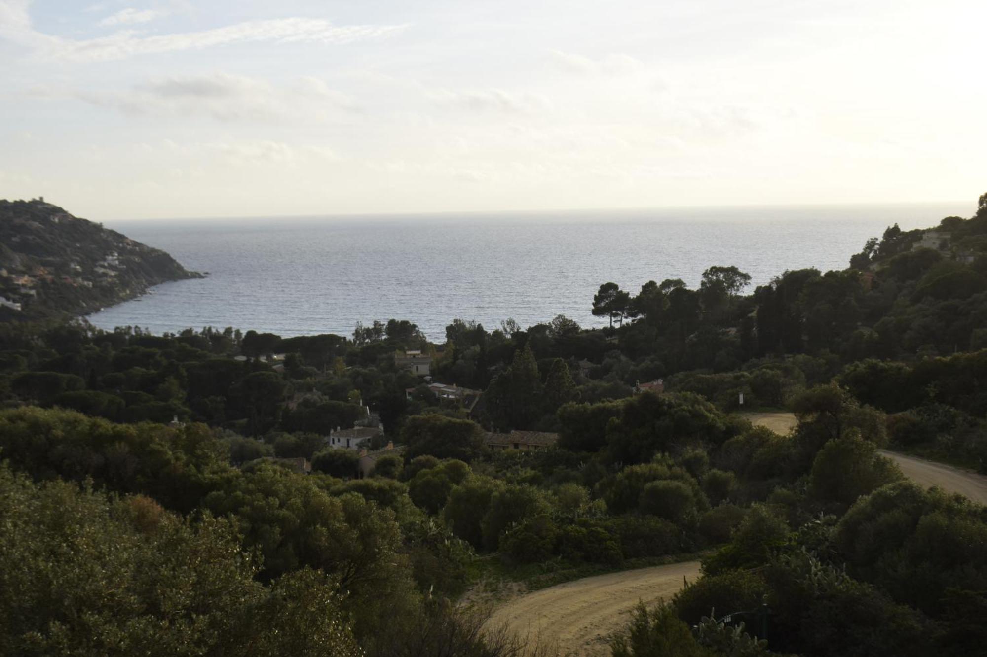 Riccio Di Mare Sardinia