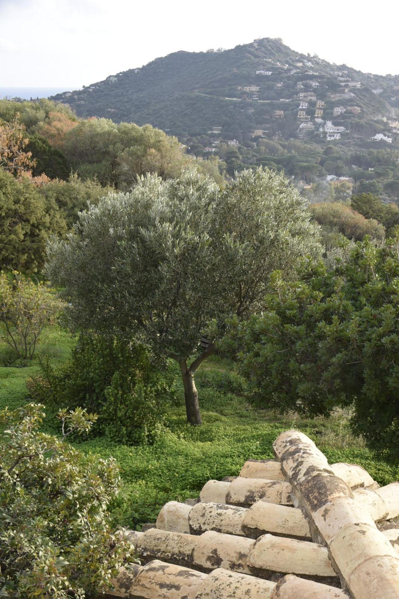 Riccio Di Mare Sardinia Holiday home Marongiu