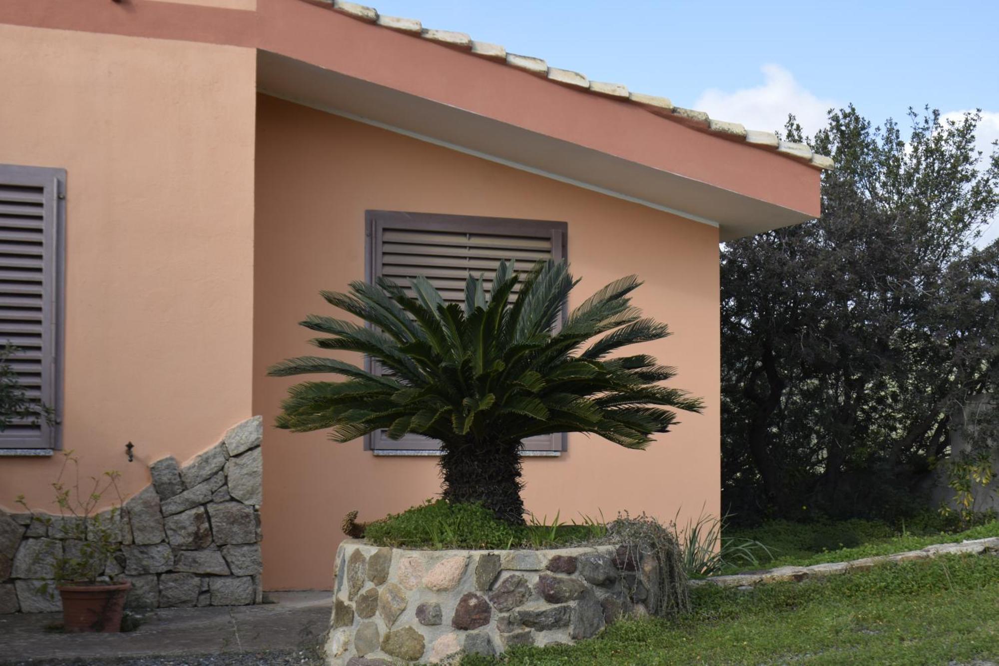 Riccio Di Mare Sardinia Holiday home